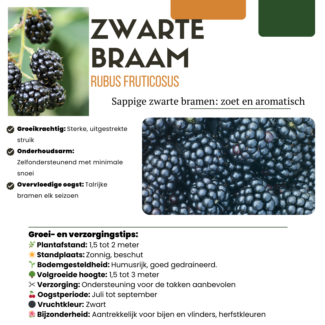 Zoete oogst trio – biologische fruittoppers voor tuin of balkon