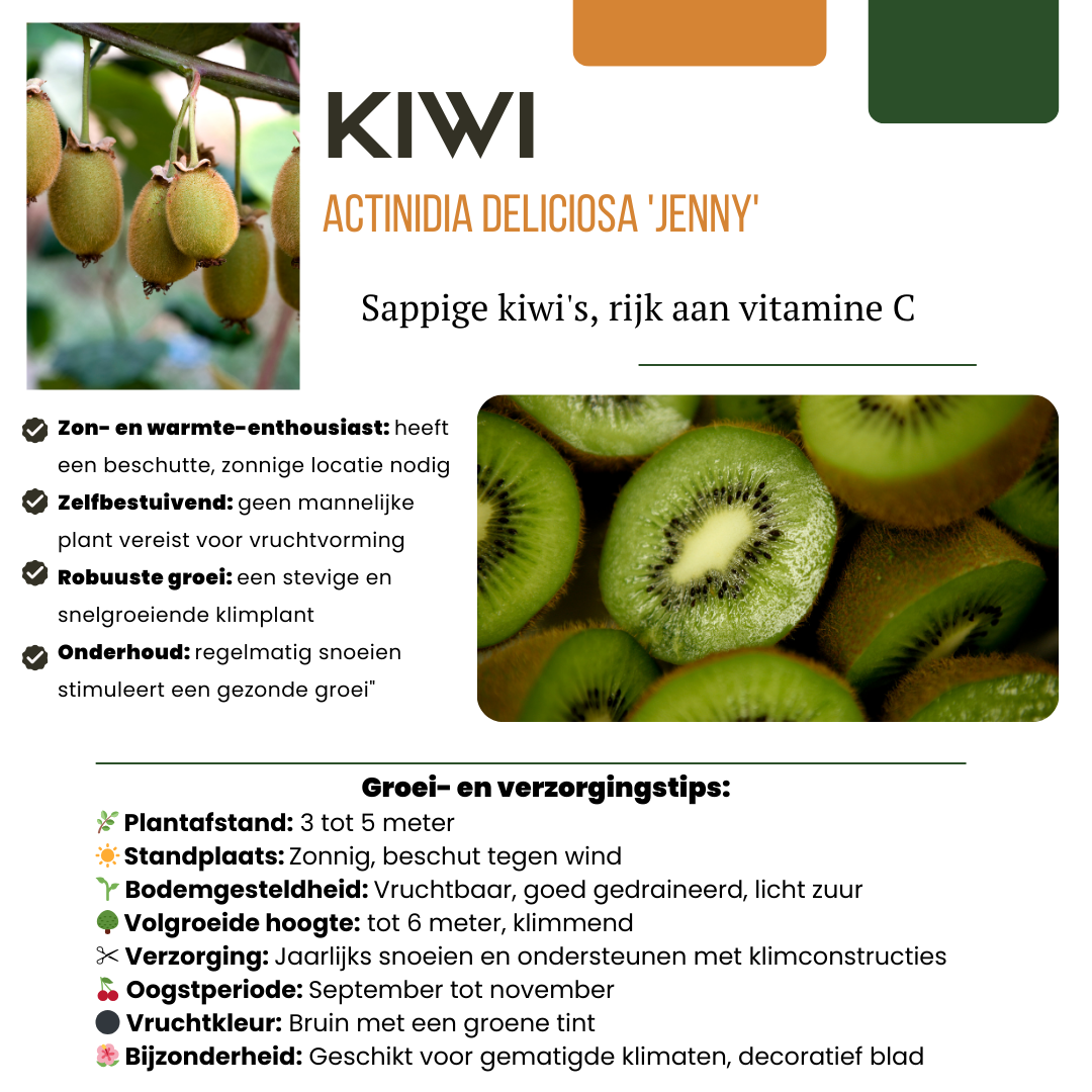 Zoete oogst trio – biologische fruittoppers voor tuin of balkon